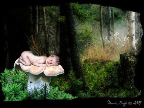 Visit Fairytales & Fireflies Photography