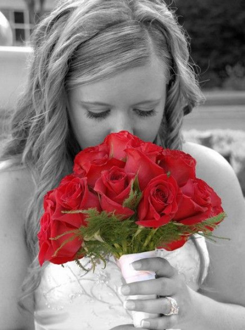 Visit Photo Tech Photography