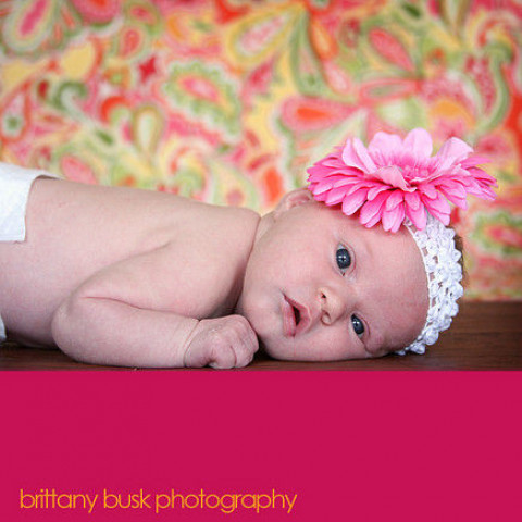 Visit Brittany Busk Photography