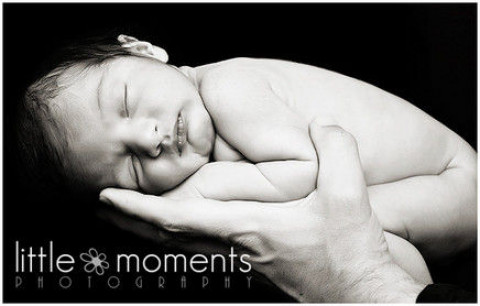 Visit Little Moments Photography