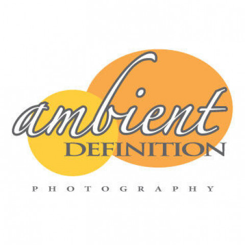 Visit Ambient Definition