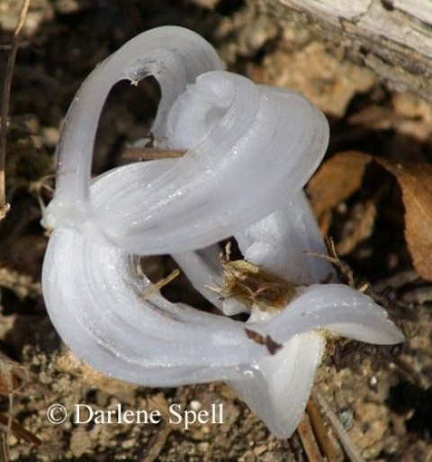 Visit Photos by Darlene . . .