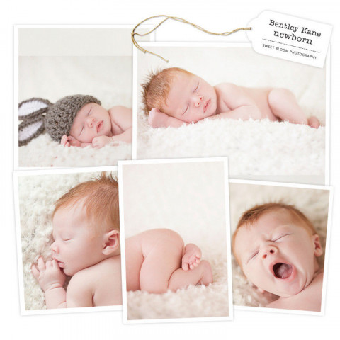 Visit Sweet Bloom Photography