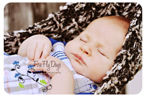 Visit FireFlyDays Photography