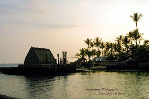 Visit Hawaiiseen Photography