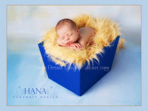 Visit Hana Portrait Design