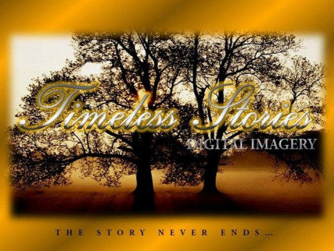 Visit TIMELESS STORIES DIGITAL IMAGERY
