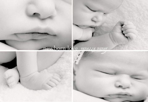 Visit Newborn Love Photography