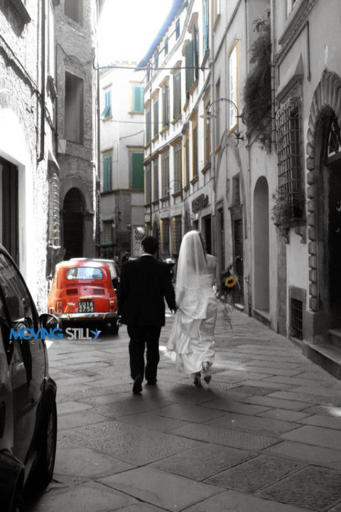 Visit MOVING STILL PICTURES Photography