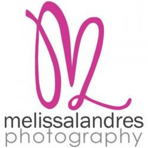 Visit Melissa Landres Photography