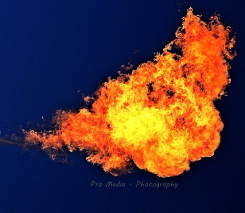 Visit Pro Media Photography