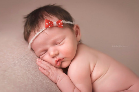 Visit St. Louis Newborn Photographer | In The Little Photography