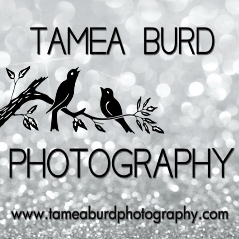 Visit Tamea Burd Photography