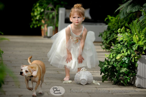 Visit Marci Curtis - Michigan Wedding Photojournalist