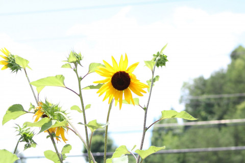 Visit Constantine Photography LLC
