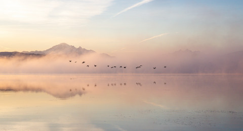 Visit Karen Mullen Photography