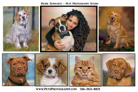 Visit Pets Photography Studio