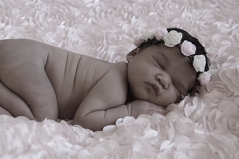 Visit Bertoni Photography - Newborns, Smash-Cake, Portraits