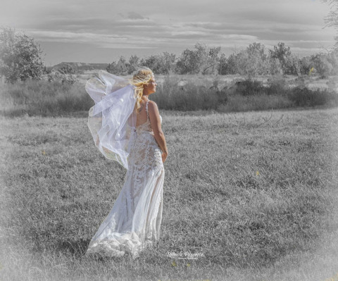 Visit Rebecca Pagnotta