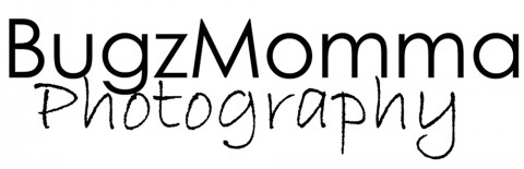 Visit BugzMomma Photography