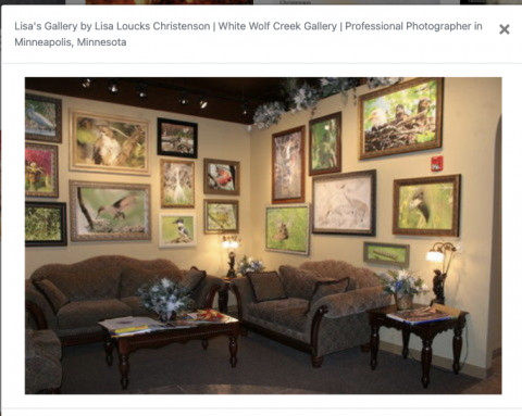 Visit Lisa Loucks-Christenson