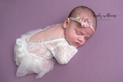 Visit Sandy Williams Photography
