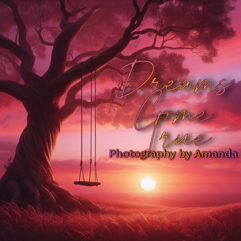 Visit Dreams come true photography